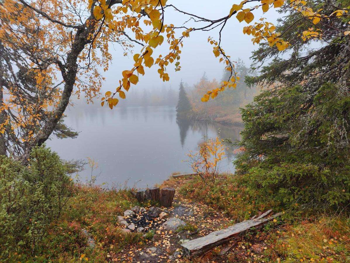 Isokelo Log Apartments Salla Luaran gambar